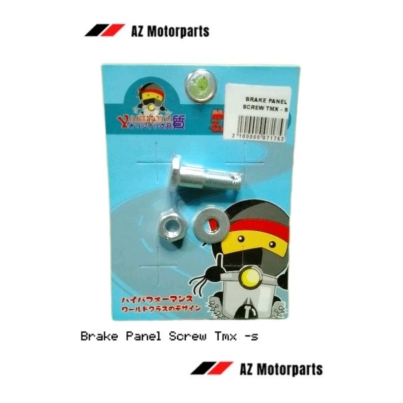 Brake Panel Screw